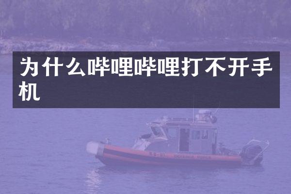 为什么哔哩哔哩打不开手机
