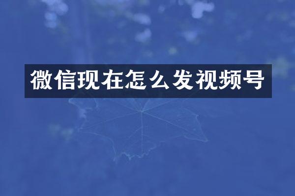 微信现在怎么发视频号