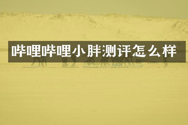 哔哩哔哩小胖测评怎么样