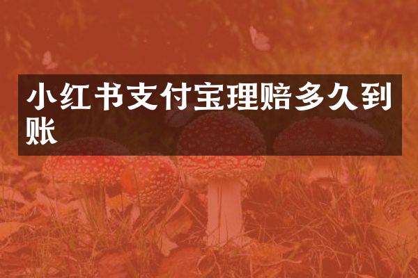 小红书支付宝理赔多久到账