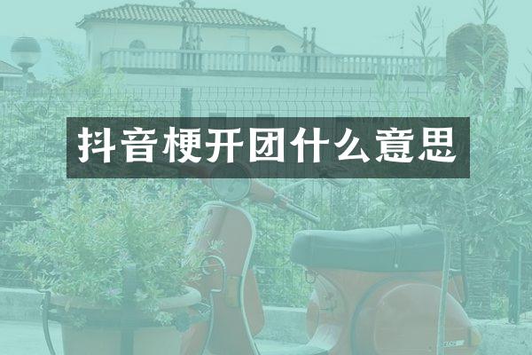 抖音梗开团什么意思