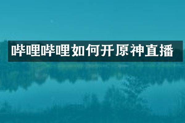 哔哩哔哩如何开原神直播