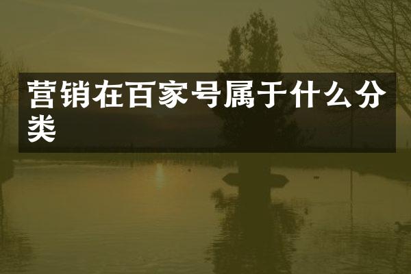 营销在百家号属于什么分类