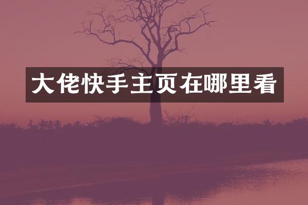大佬快手主页在哪里看