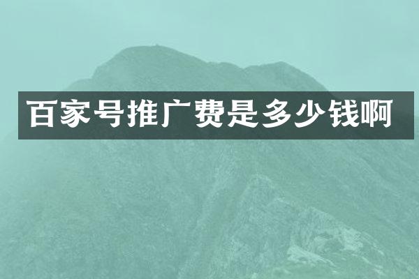 百家号推广费是多少钱啊