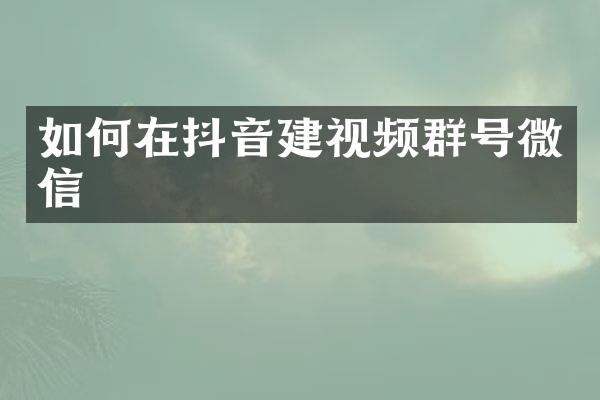 如何在抖音建视频群号微信