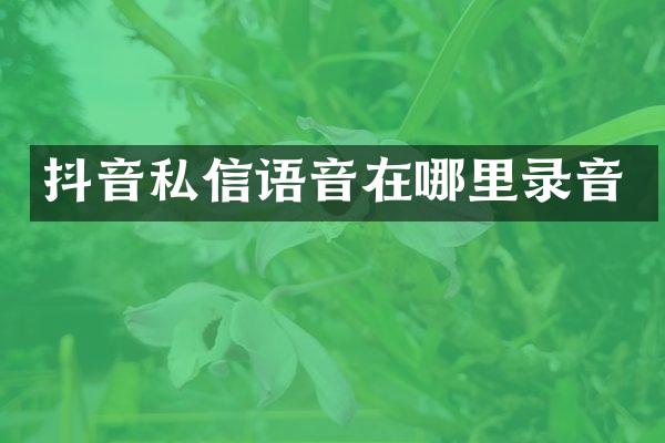 抖音私信语音在哪里录音