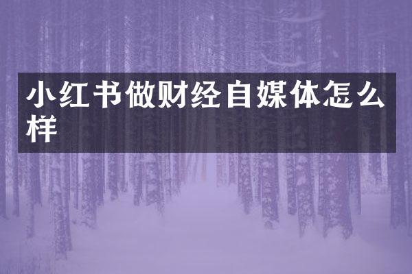 小红书做财经自媒体怎么样