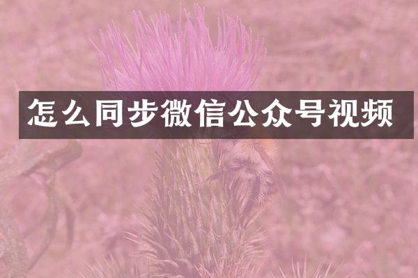 怎么同步微信公众号视频