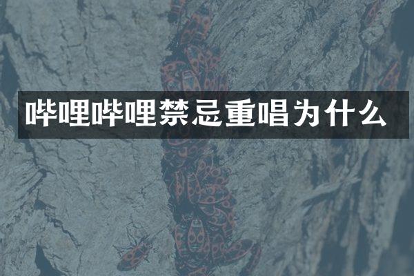 哔哩哔哩禁忌重唱为什么