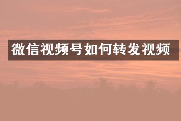 微信视频号如何转发视频