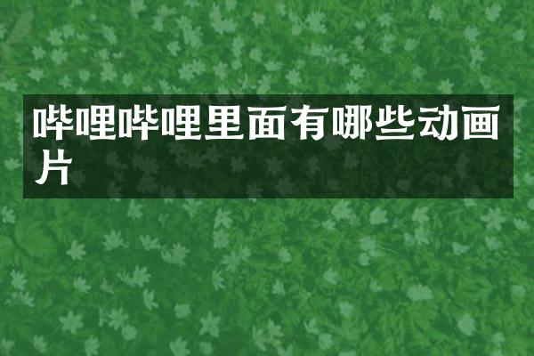 哔哩哔哩里面有哪些动画片