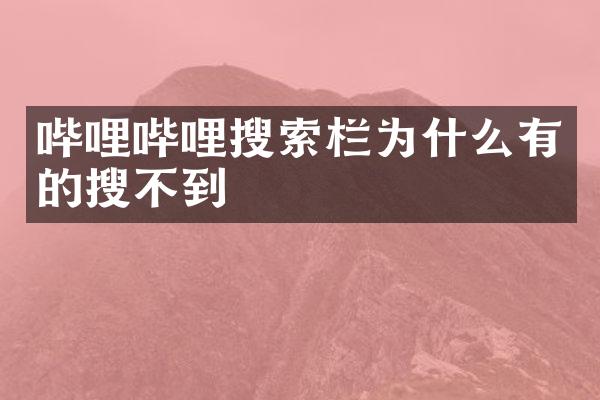 哔哩哔哩搜索栏为什么有的搜不到