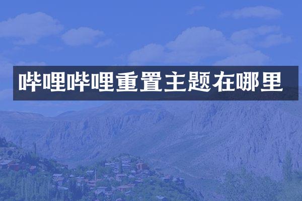 哔哩哔哩重置主题在哪里