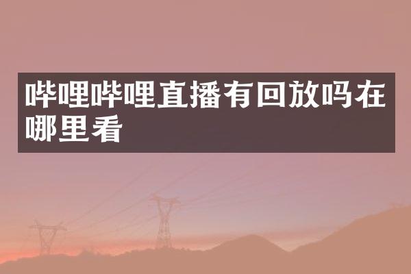 哔哩哔哩直播有回放吗在哪里看