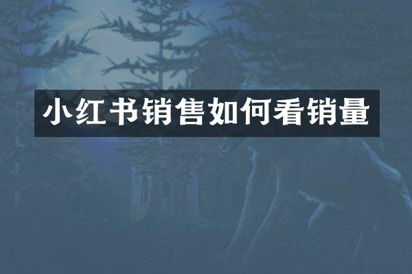 小红书销售如何看销量