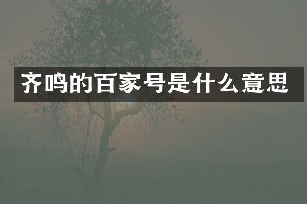 齐鸣的百家号是什么意思