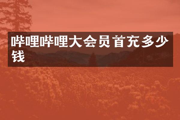 哔哩哔哩大会员首充多少钱