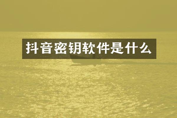 抖音密钥软件是什么