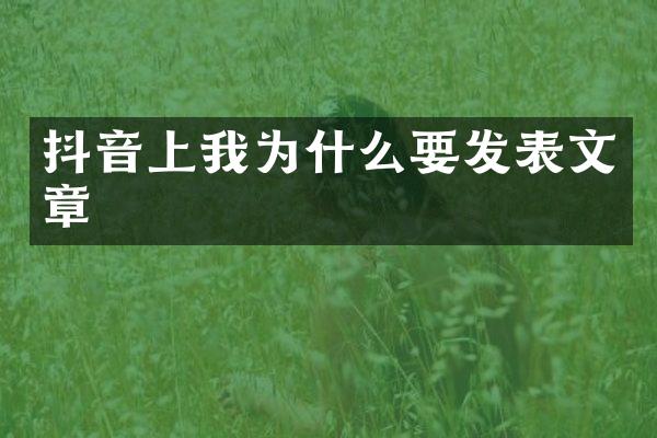 抖音上我为什么要发表文章