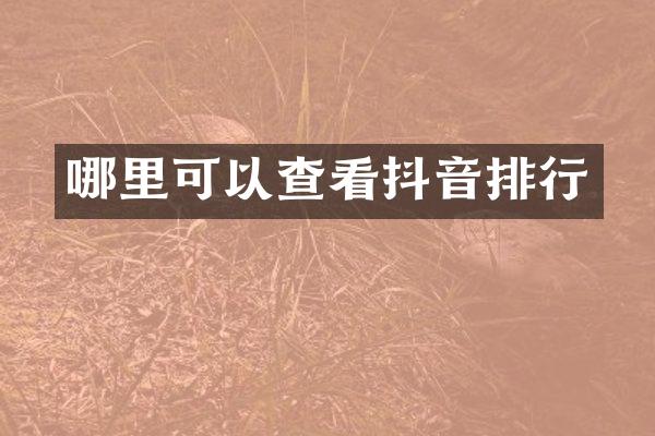 哪里可以查看抖音排行