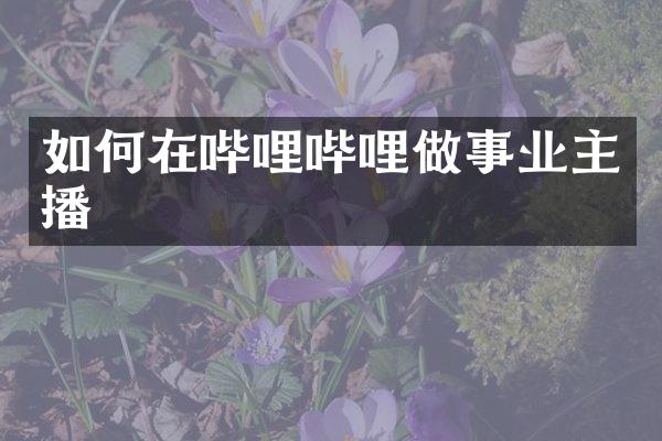 如何在哔哩哔哩做事业主播