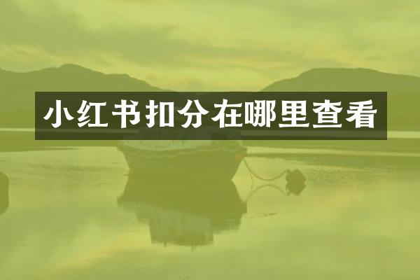 小红书扣分在哪里查看