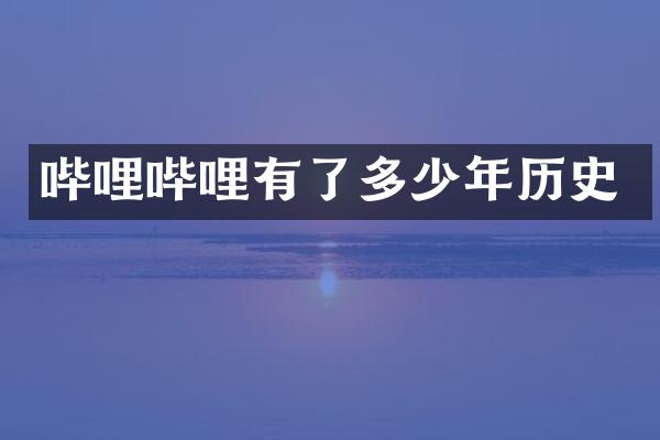 哔哩哔哩有了多少年历史