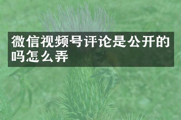 微信视频号评论是公开的吗怎么弄