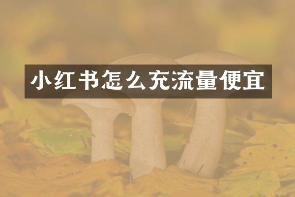 小红书怎么充流量便宜
