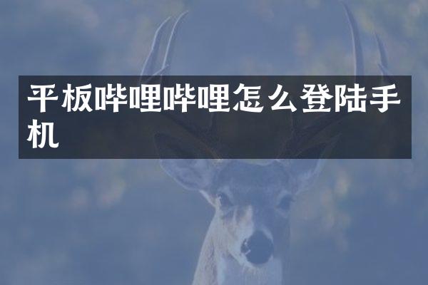 平板哔哩哔哩怎么登陆手机