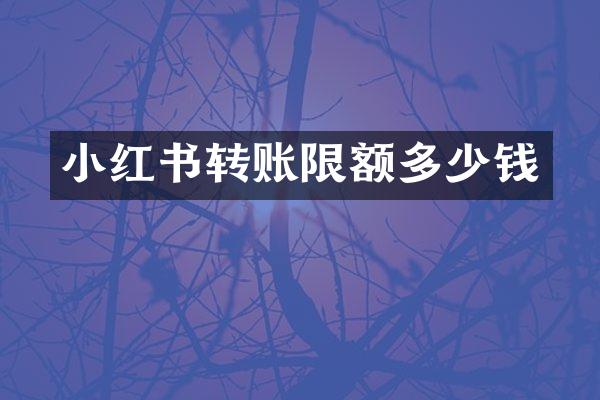 小红书转账限额多少钱
