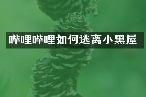 哔哩哔哩如何逃离小黑屋