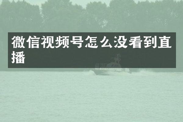 微信视频号怎么没看到直播