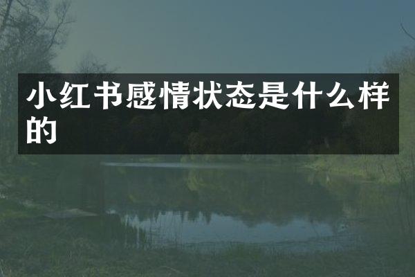 小红书感情状态是什么样的