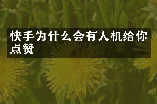 快手为什么会有人机给你点赞