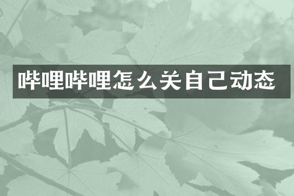 哔哩哔哩怎么关自己动态