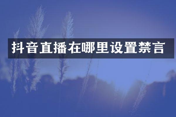 抖音直播在哪里设置禁言