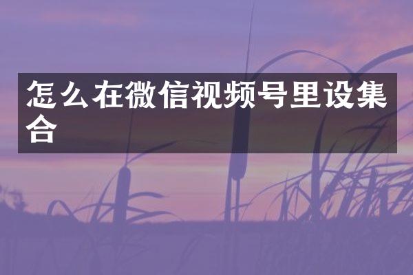 怎么在微信视频号里设集合