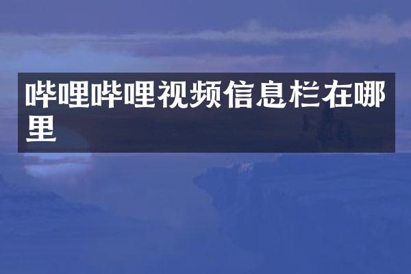 哔哩哔哩视频信息栏在哪里