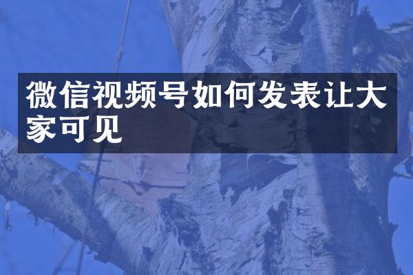 微信视频号如何发表让大家可见