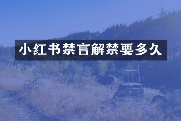 小红书禁言解禁要多久