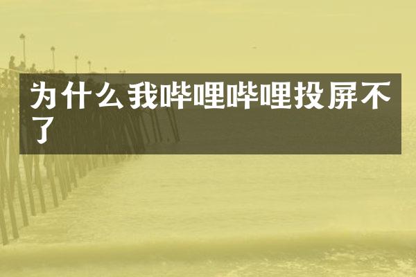 为什么我哔哩哔哩投屏不了