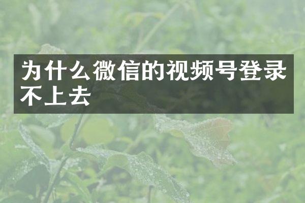 为什么微信的视频号登录不上去