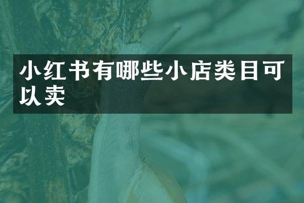 小红书有哪些小店类目可以卖
