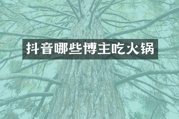 抖音哪些博主吃火锅