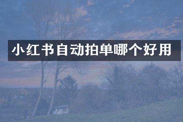 小红书自动拍单哪个好用