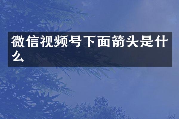 微信视频号下面箭头是什么