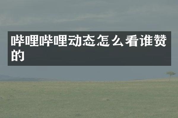 哔哩哔哩动态怎么看谁赞的