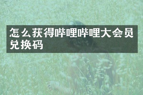 怎么获得哔哩哔哩大会员兑换码